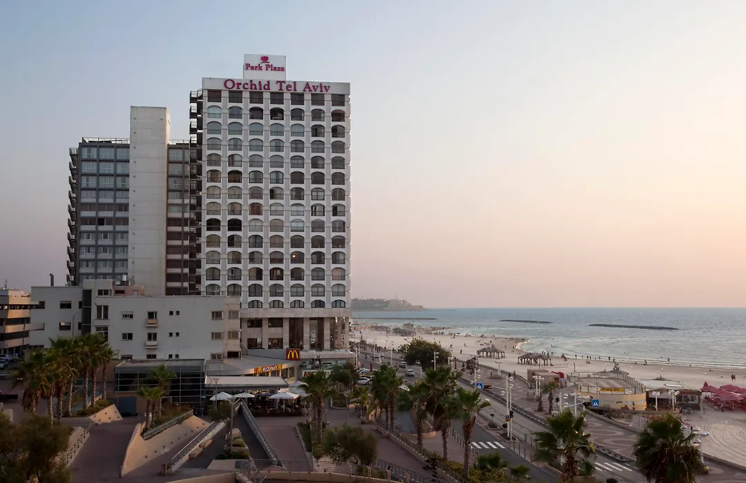 Orchid Tel Aviv-1