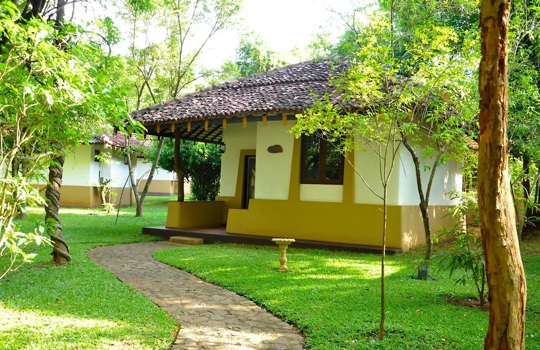 Amaya Lake Dambulla-1