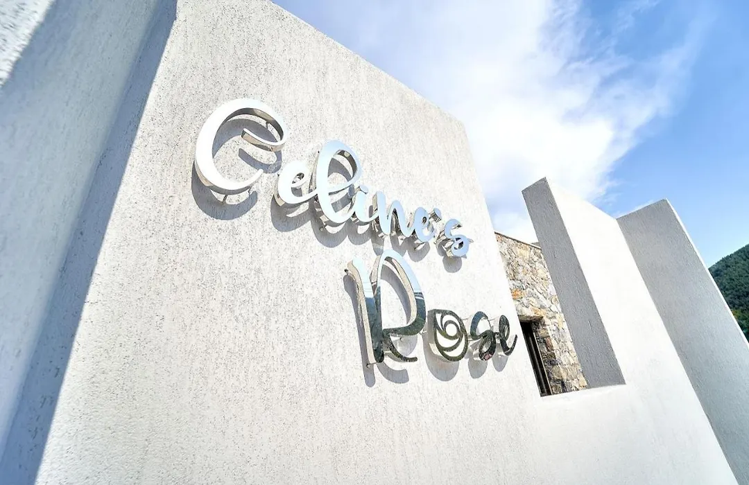 Celine's Rose-1