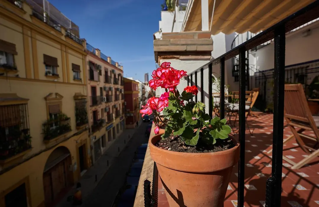 Casa Pureza-1
