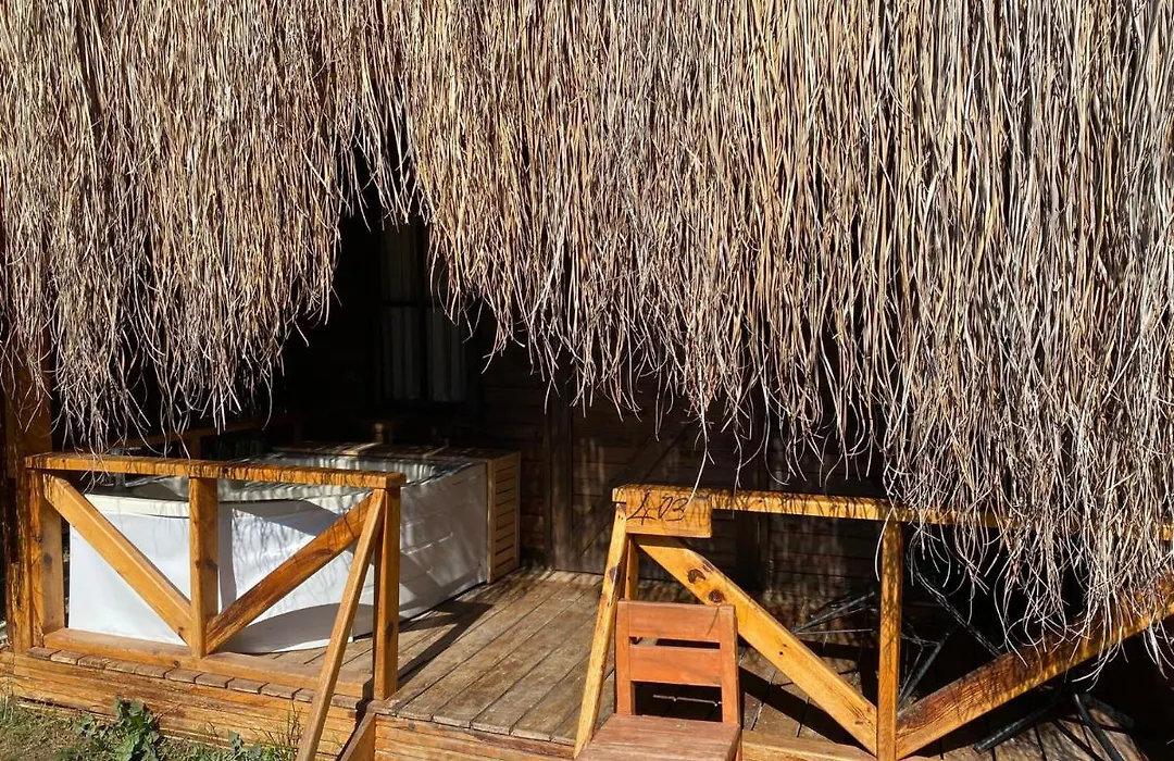 Green Pine Bungalows & Beach Luxury Concept-1