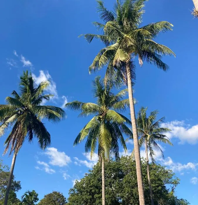 Blue Resort-1