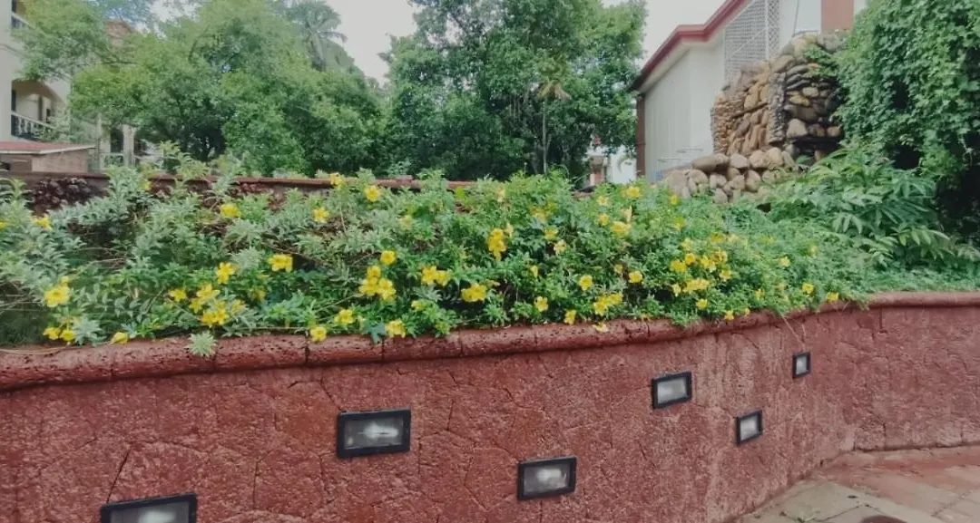 Sun City Resort-1