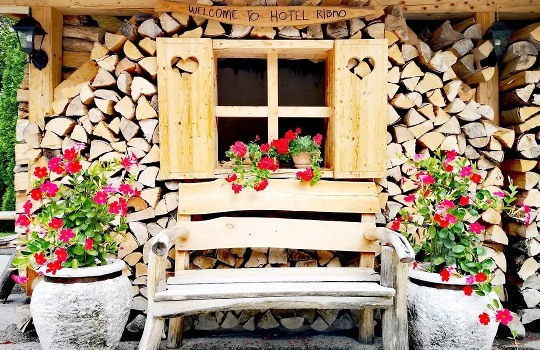 Ribno Alpine Hotel-1
