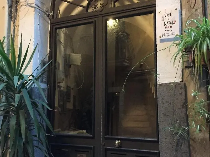 Vicoli di Napoli B&B-1