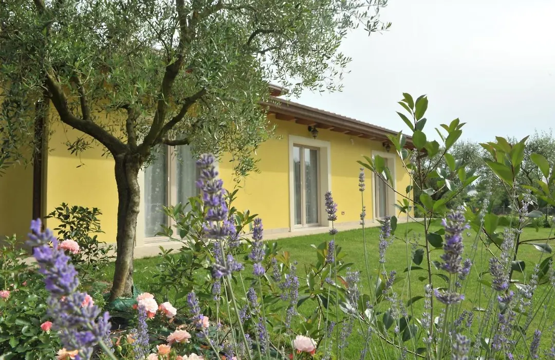 Paradiso degli Ulivi B&B-1