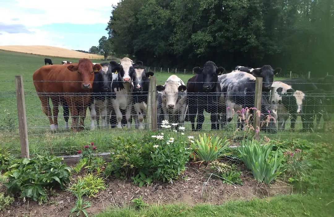 Retreat At The Knowe Auchincruive Estate-1