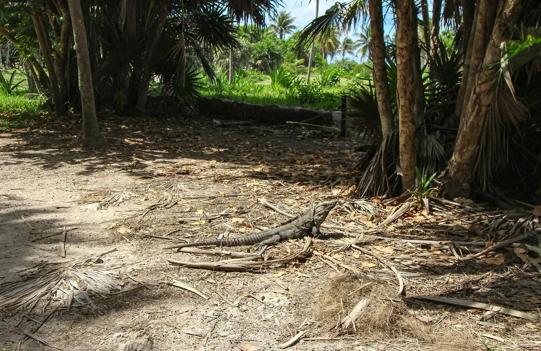 Adora Tulum 406 At Av Kukulkan-1