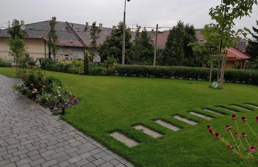 Tóni Villa-1