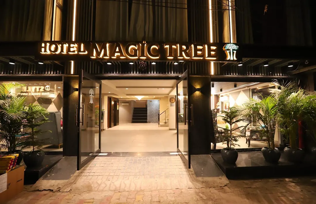 Hotel The Magic Tree - Paharganj New Delhi-1