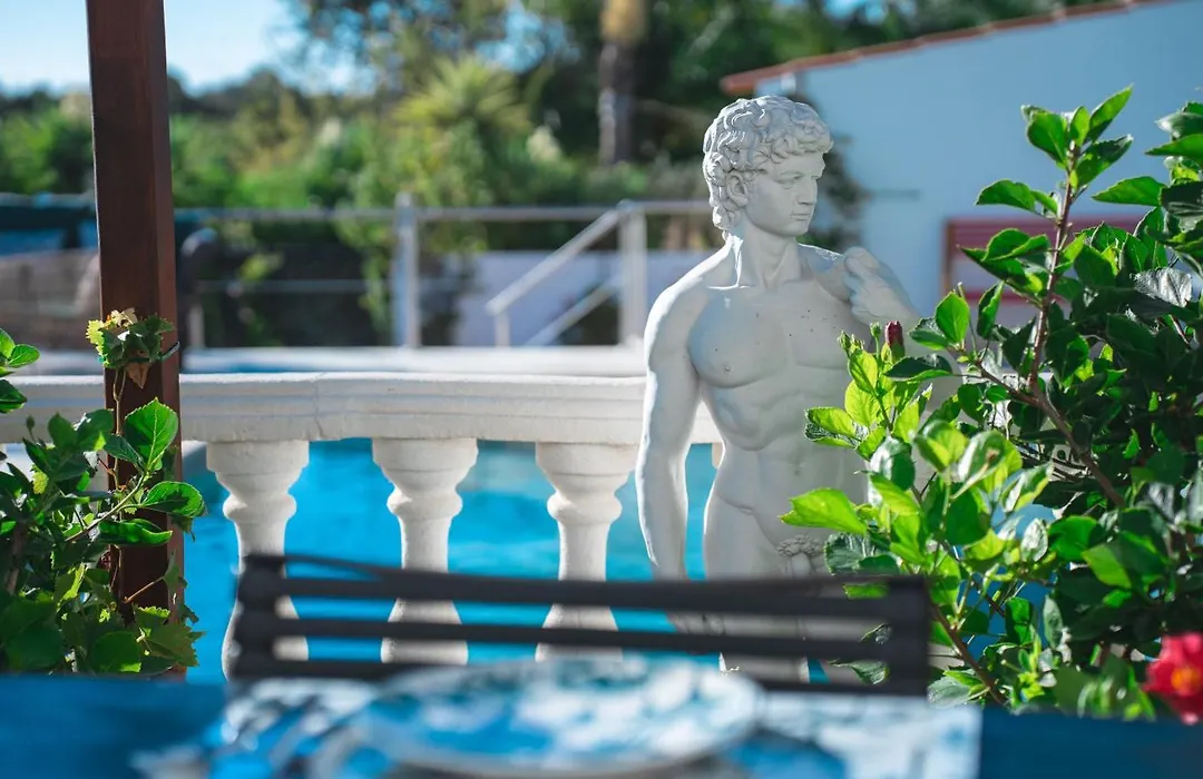 Palm View Guesthouse, Adults Only-1