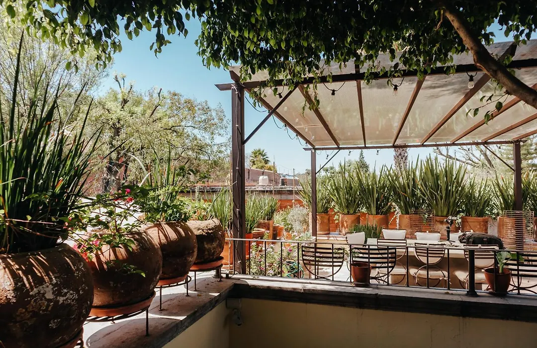 Casa Florida-1