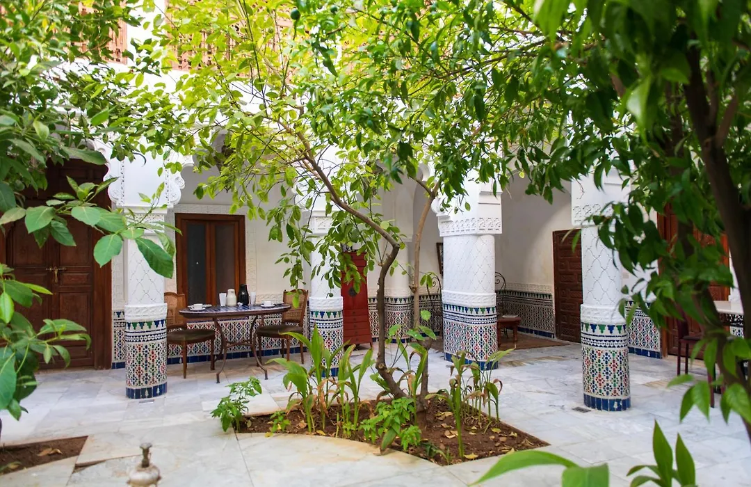 Riad Ben Youssef-1