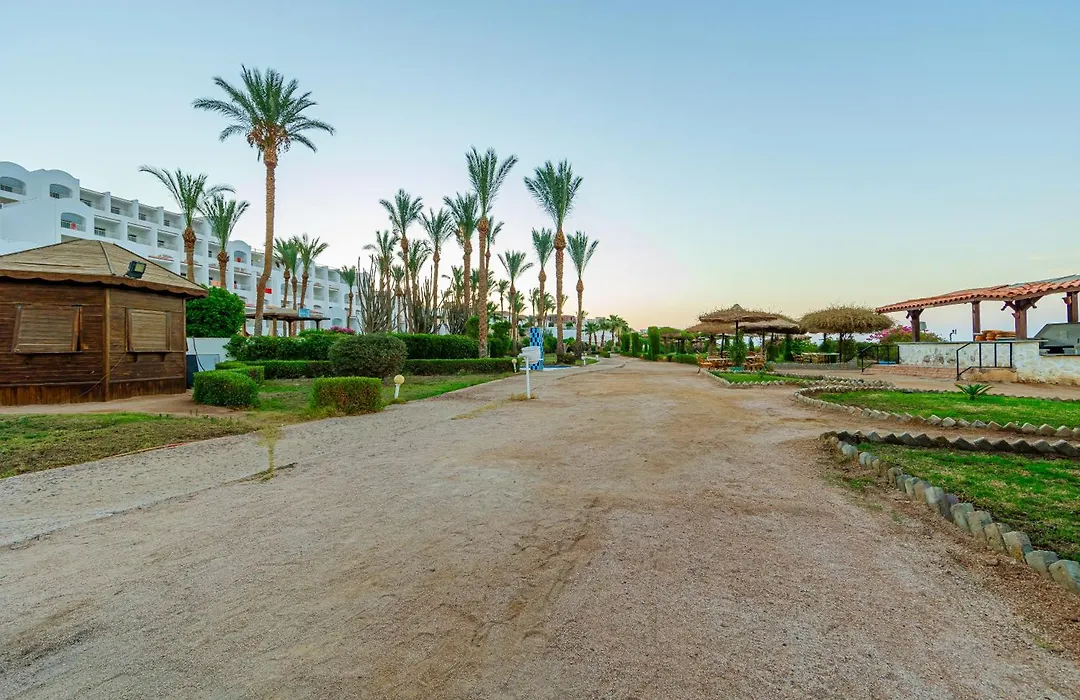 Siva Sharm Resort & Spa-1