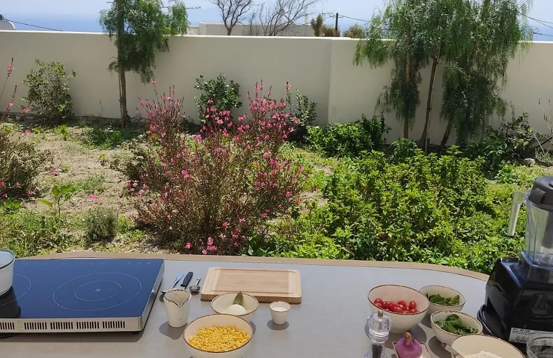 Mod Santorini Vegan Accommodation-1