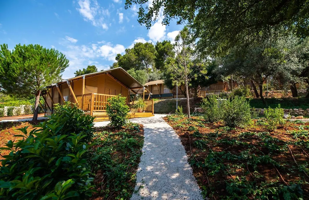 Arena One 99 Glamping-1