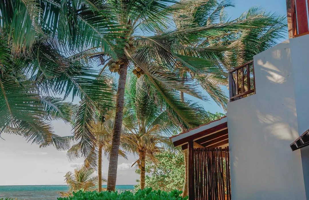 Casa Colibri Tankah-1