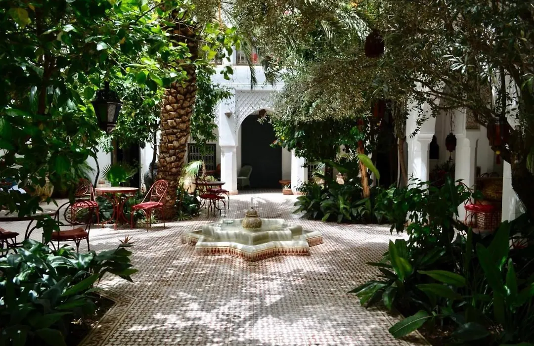 Riad Ifoulki-1
