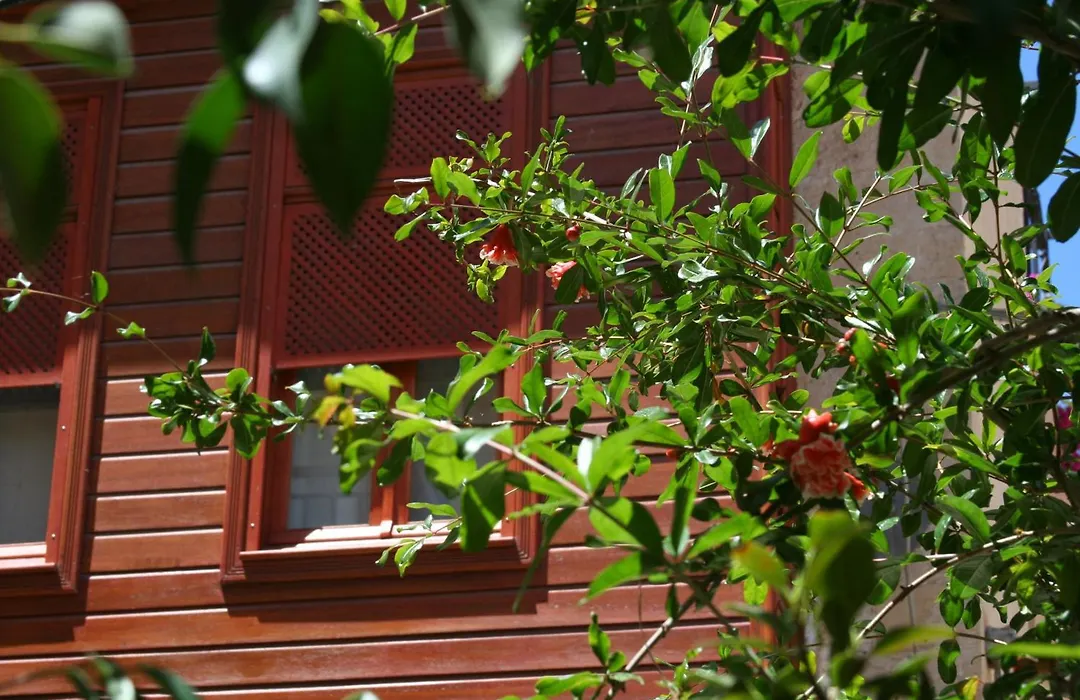 Ionas Boutique Hotel-1