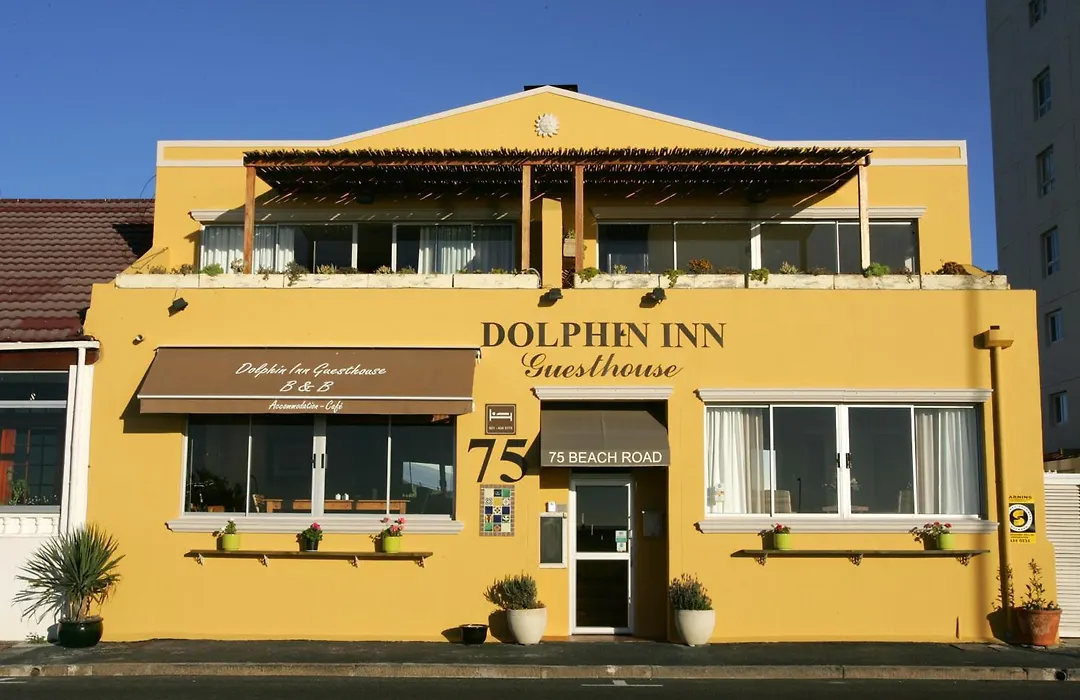 Dolphin Inn Guesthouse-1