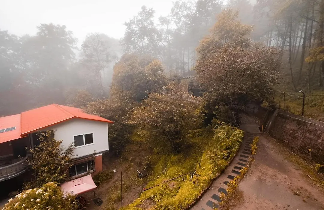 Mount Paradise Nature Stay-1