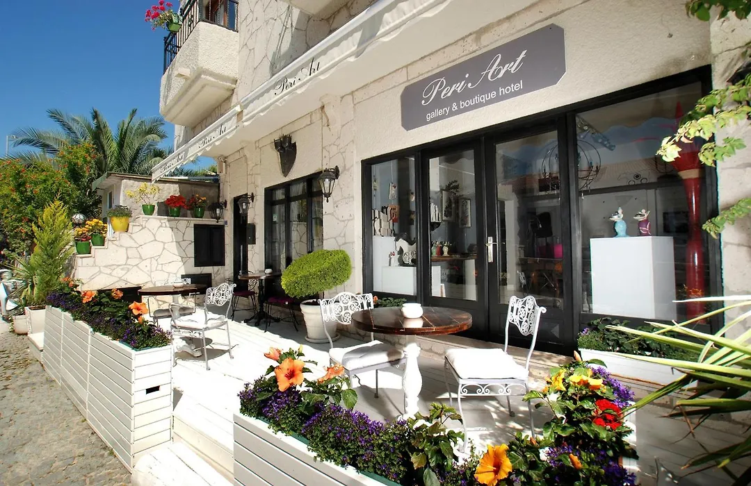 Peri Art Hotel-1