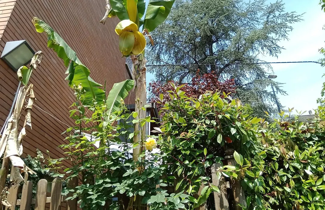 A Casa Di Gemma-1