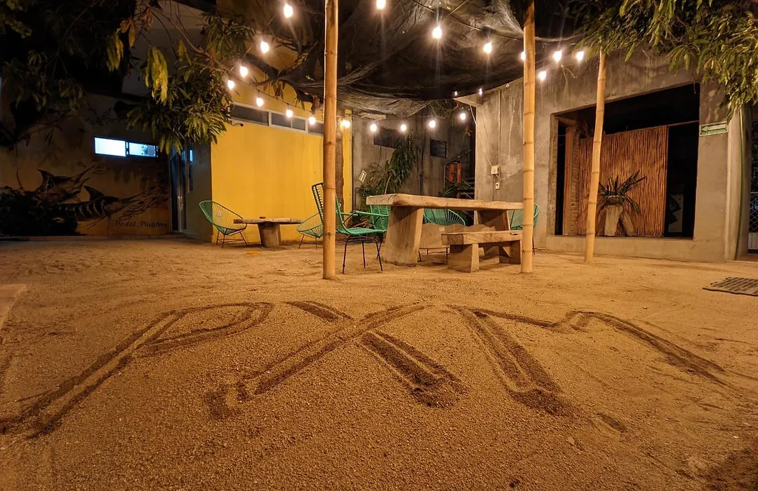 Paziflora Hostel -Starlink--1