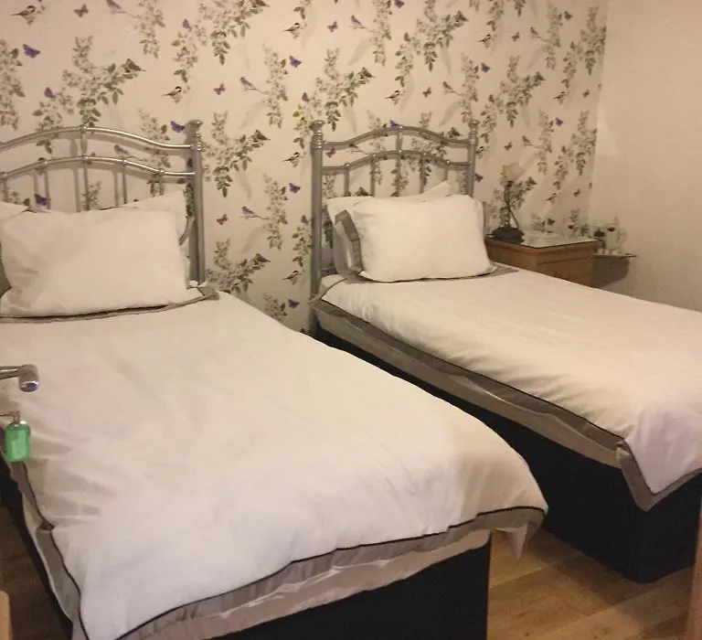 Acer Guest House-1