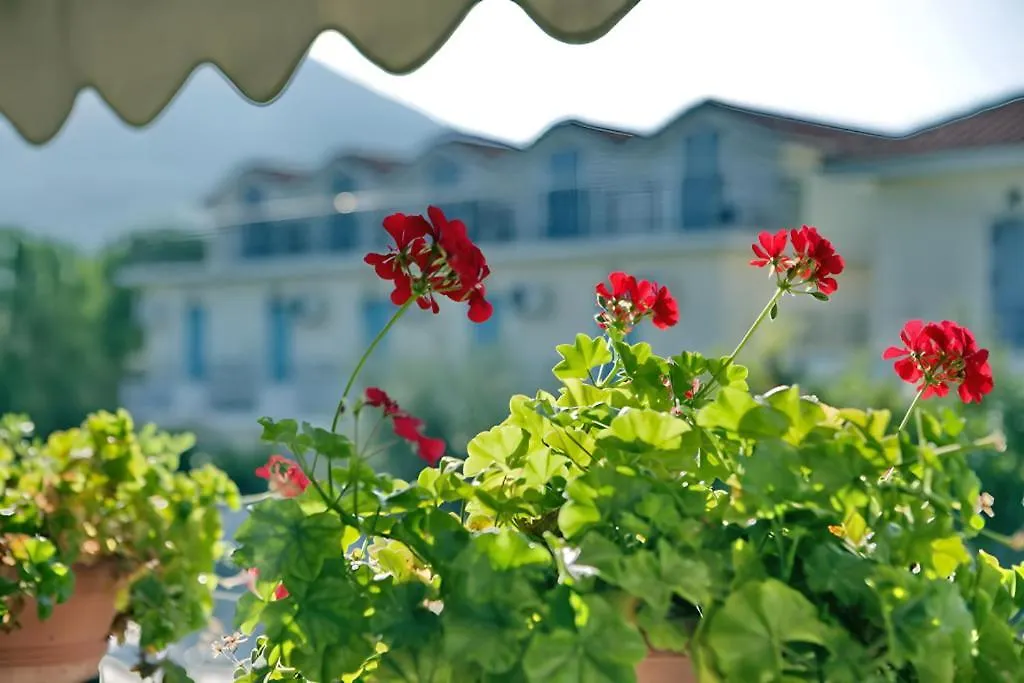 Theofilos Classic Hotel-1