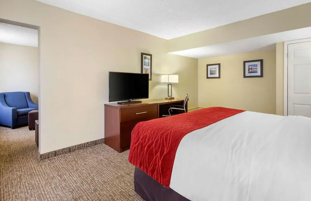 Comfort Inn St Petersburg North-1