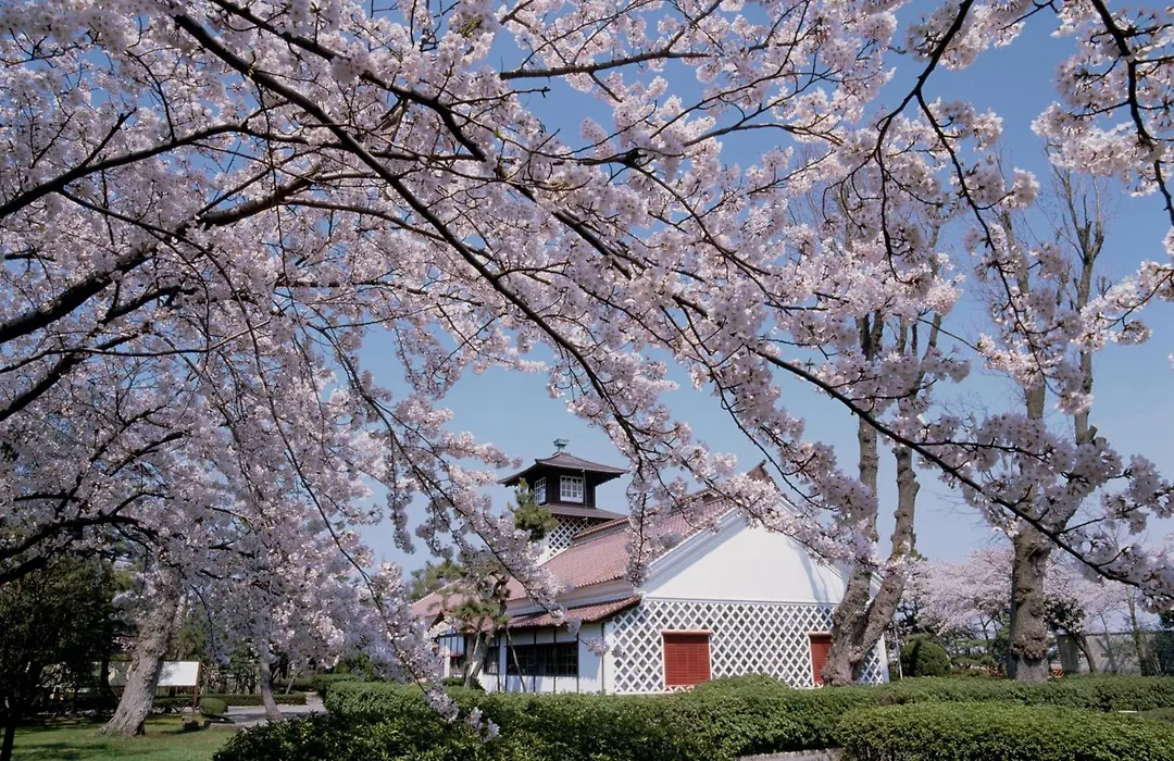 Hotel Sunroute Niigata-1