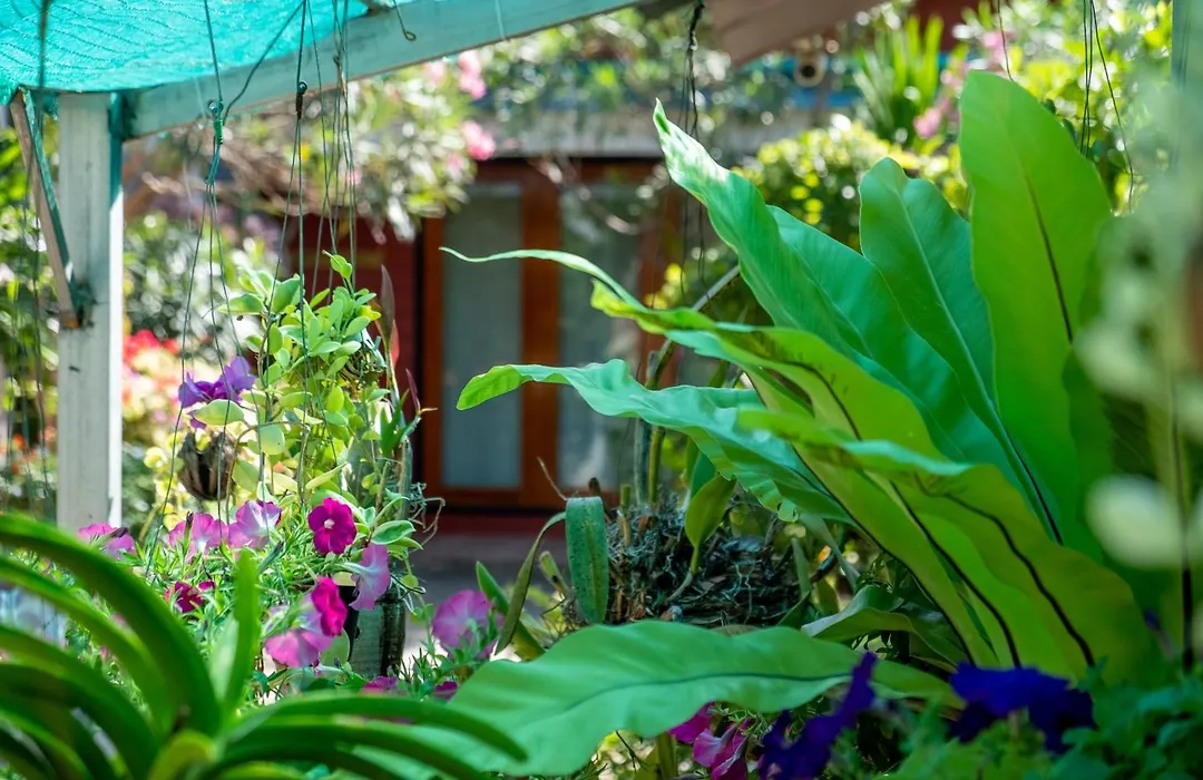 Thai Smile Bungalows-1