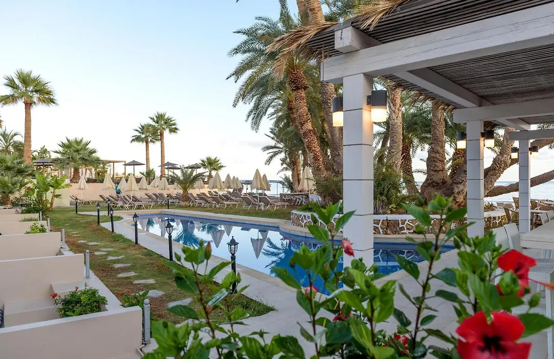 Zeus Hotels Palm Beach-1