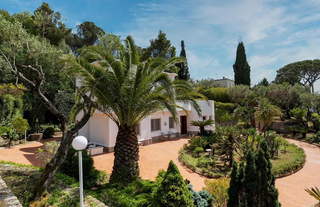 Villa Donna Carolina Capri-1
