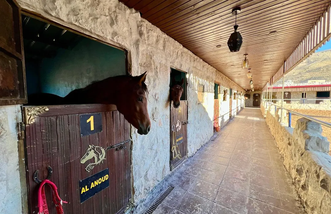 Petra Royal Ranch-1