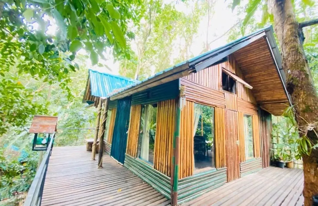 Khao Sok Tree House Resort-1