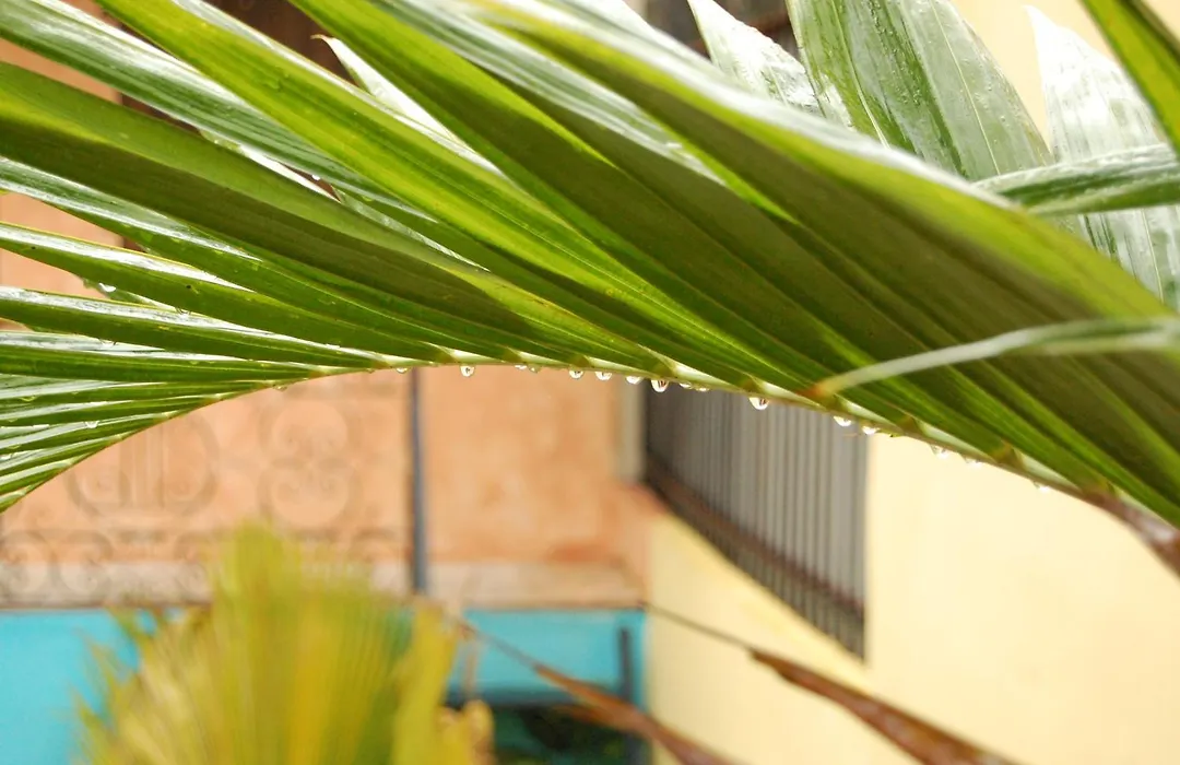 La Choza Guesthouse-1