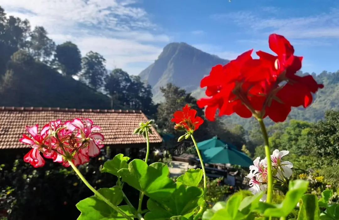 Ella Flower Garden Resort-1