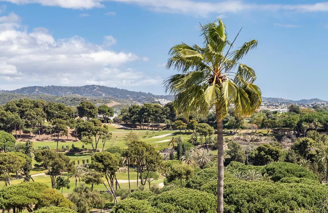 Aurora Boutique Marbella - Only Adults-1