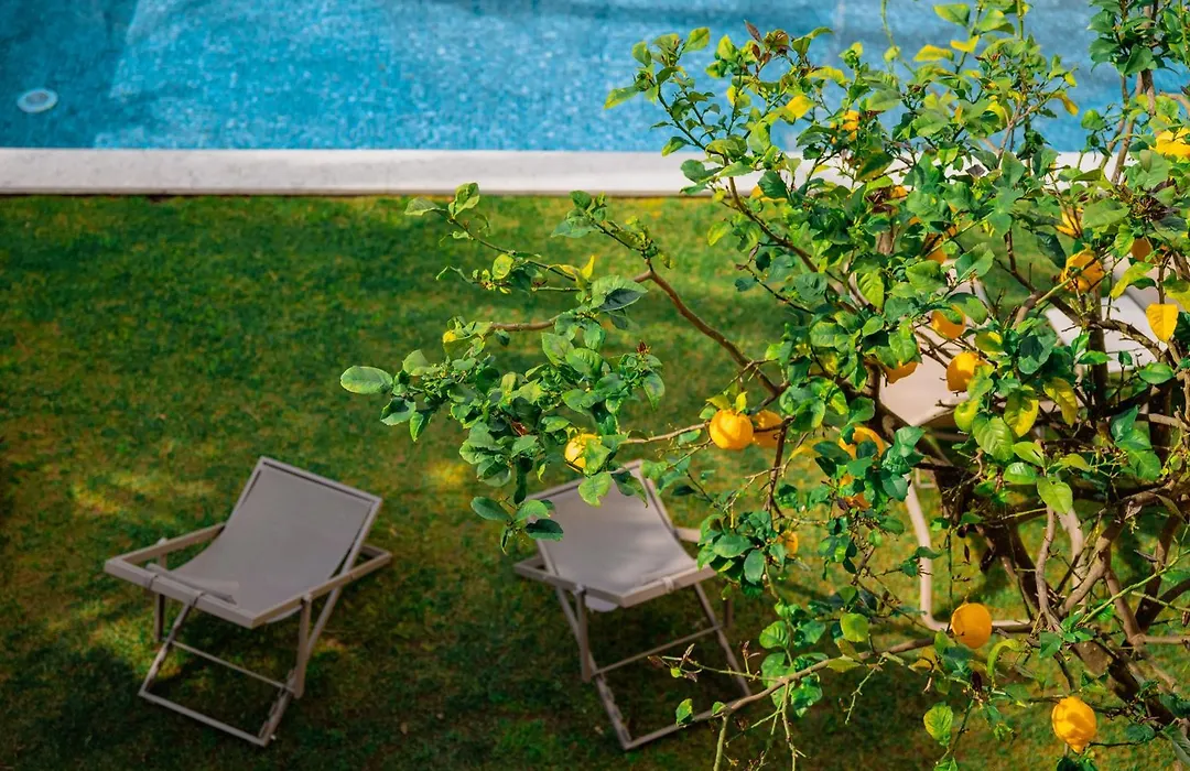 Jardim Da Lapa By Shiadu-1