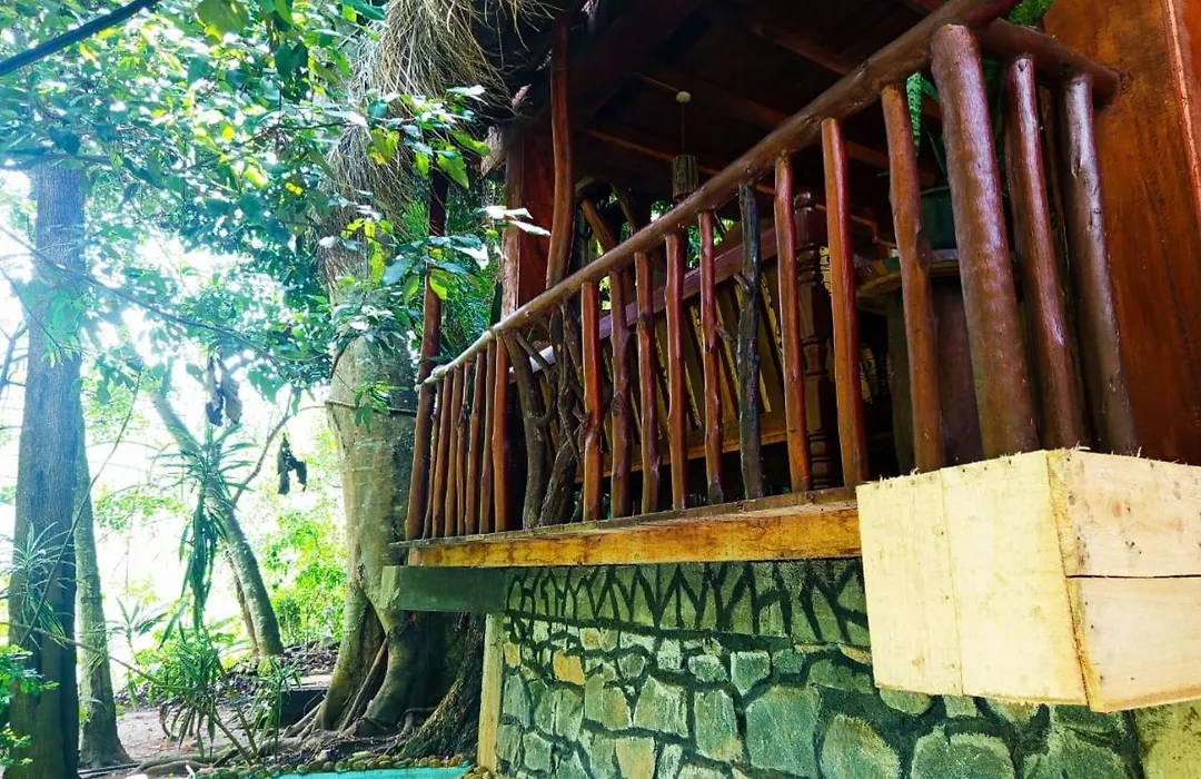 Jungle Face Inn-1