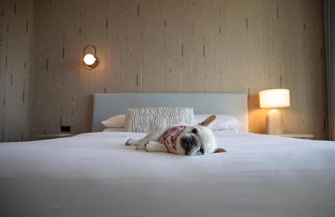 Kimpton - Hotel Palomar South Beach By Ihg-1