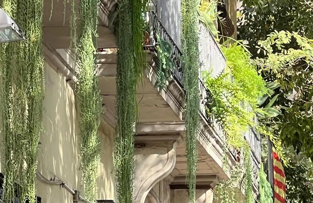 Plaza Goya Rooms-1