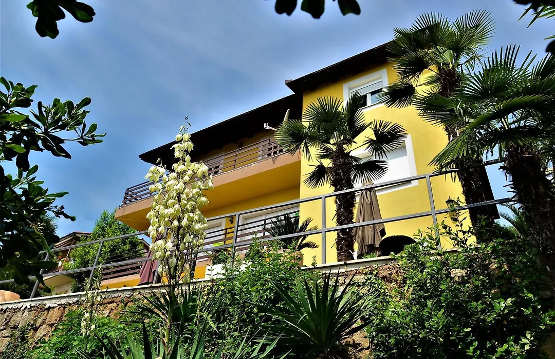 Apartments And Rooms Vila Irma-1