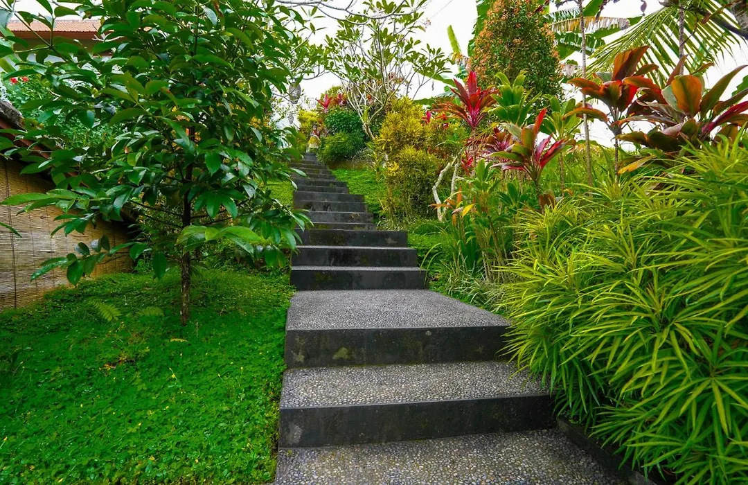 Green Coconut Cottage-1