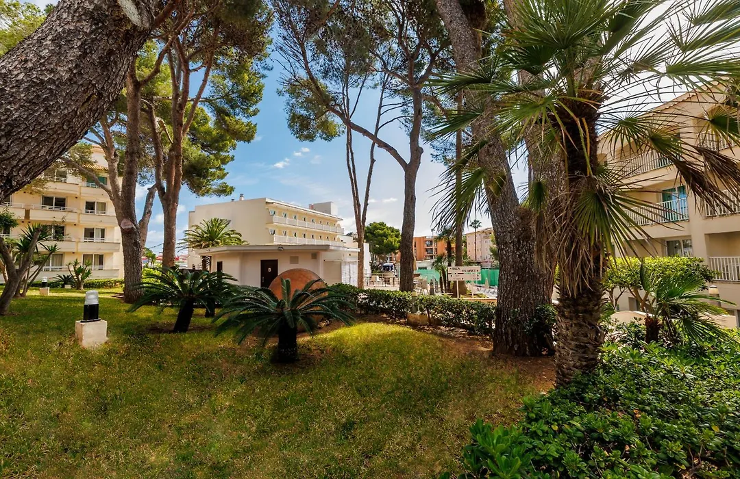O7 Club Cala Ratjada-1