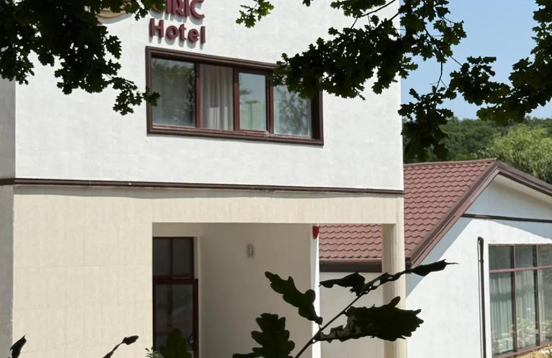 Hotel Ciric-1