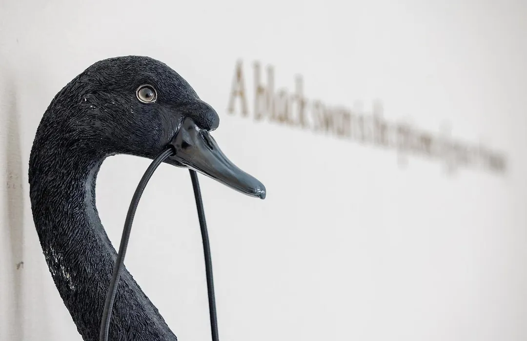 The Black Swan Hotel-1