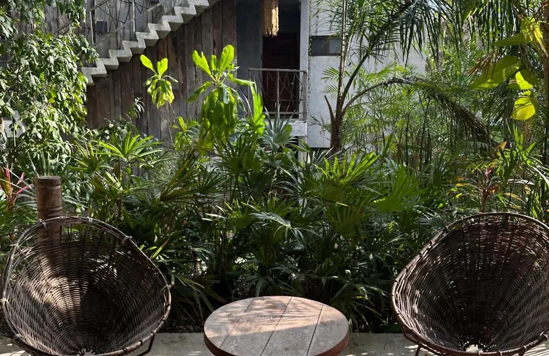 Casa Vive Bacalar-1